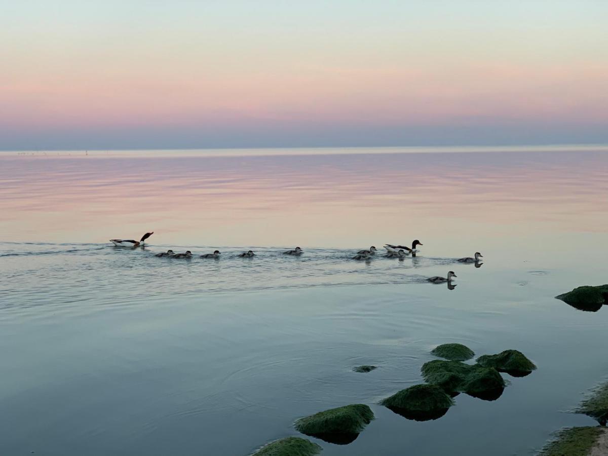 Preilos Vasara Preila Buitenkant foto
